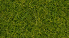 HO Wild Grass XL Light Green (12mm) 40g