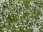 HO Groundcover Foliage "Meadow White" 12x18cm 7g