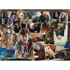 2x500pc The World of Harry Potter Puzzle