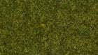 HO Scatter Grass "Meadow" 4mm 20g