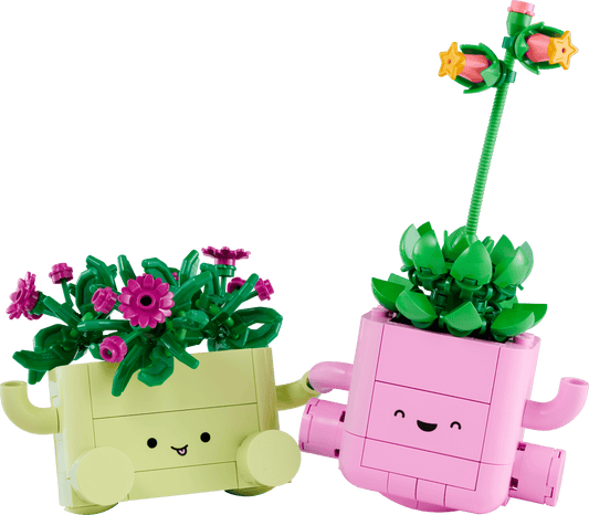 BOTANICALS - Rocking Plants