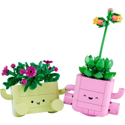 BOTANICALS - Rocking Plants