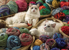 1000pc Ragdolls Puzzle