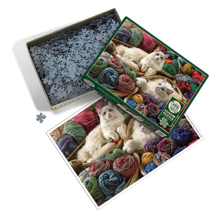 1000pc Ragdolls Puzzle