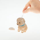 3D Apricot Toy Poodle Crystal Puzzle