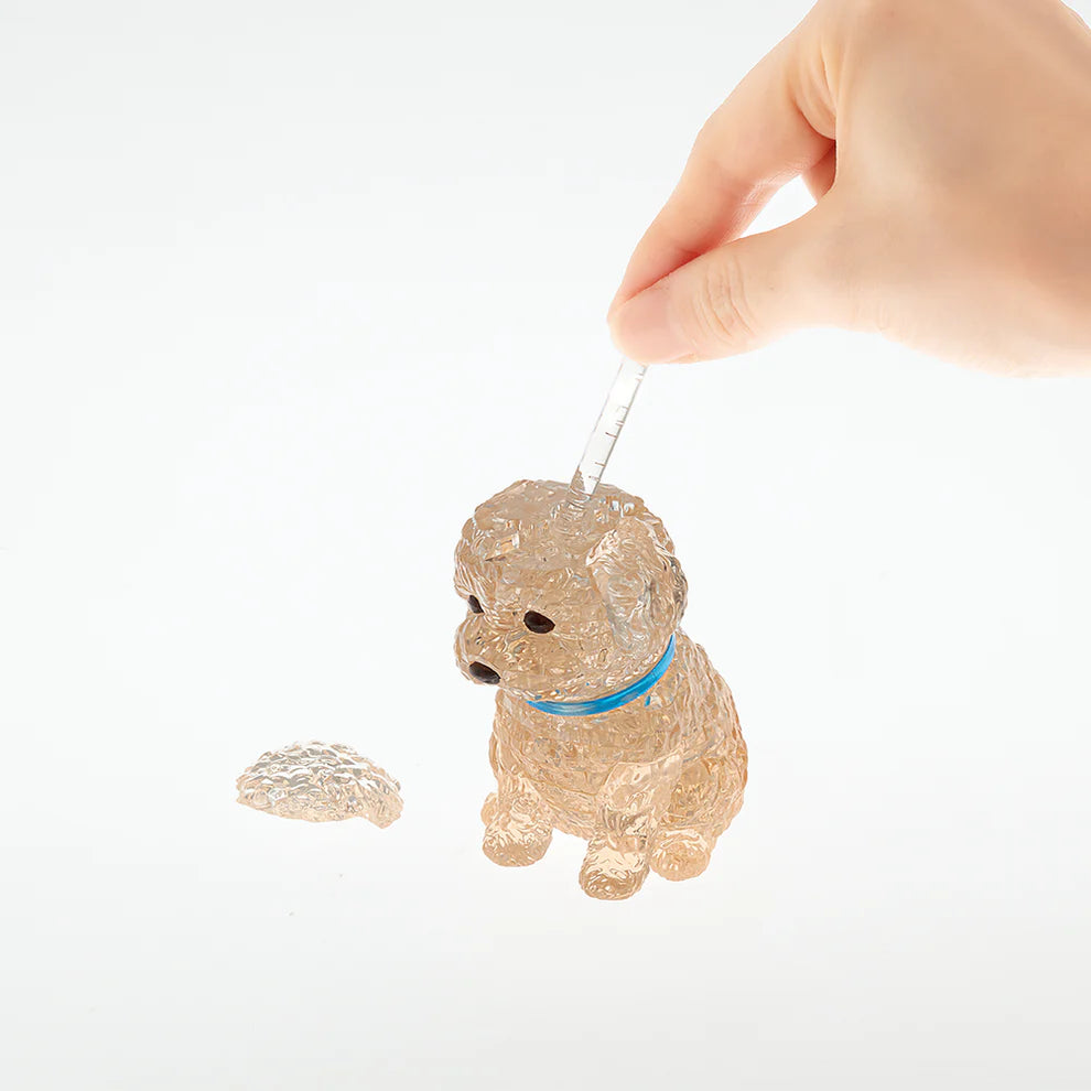 3D Apricot Toy Poodle Crystal Puzzle