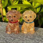 3D Apricot Toy Poodle Crystal Puzzle