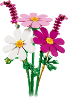 BOTANICALS - Cosmos Flowers
