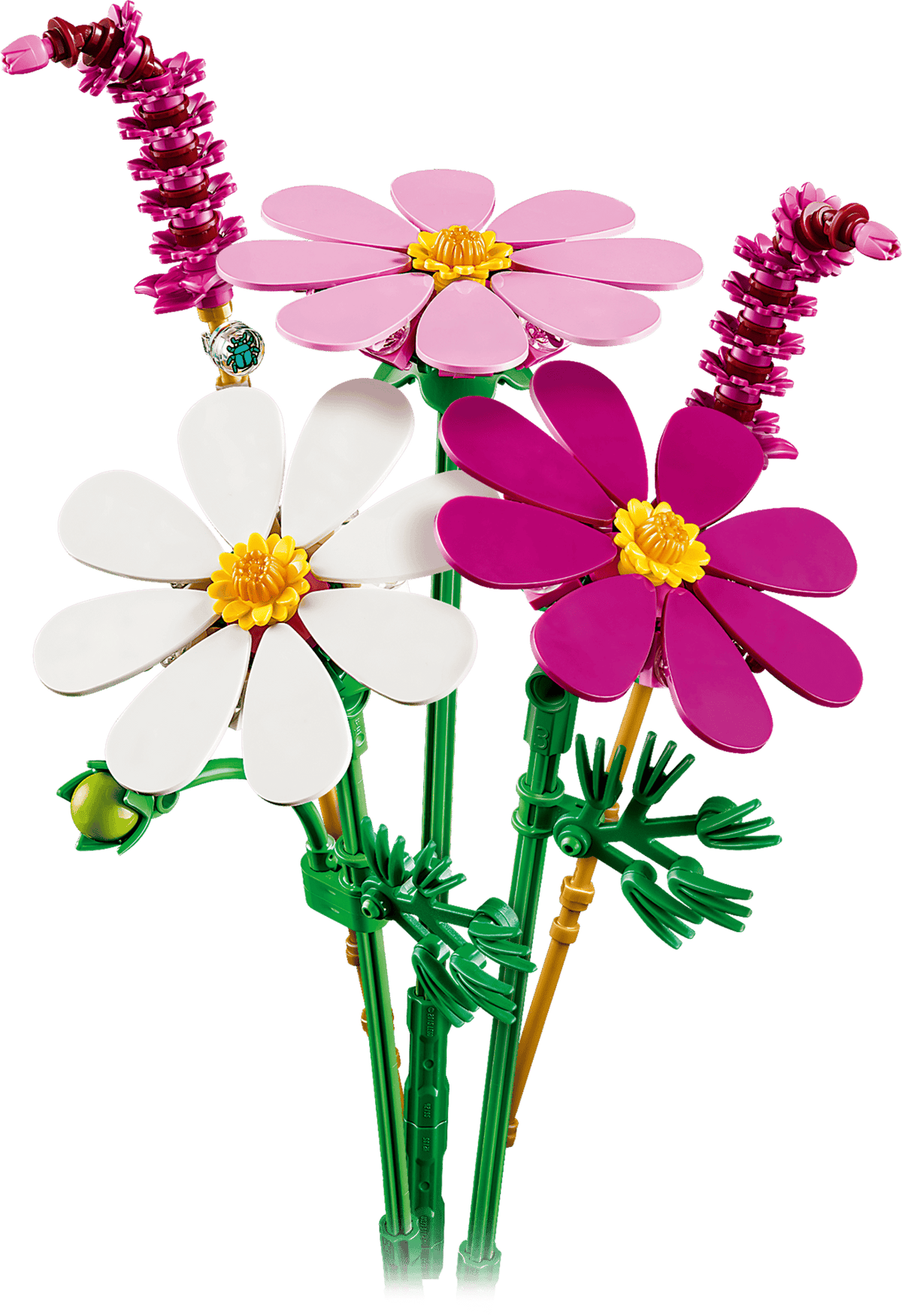 BOTANICALS - Cosmos Flowers