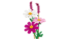 BOTANICALS - Cosmos Flowers