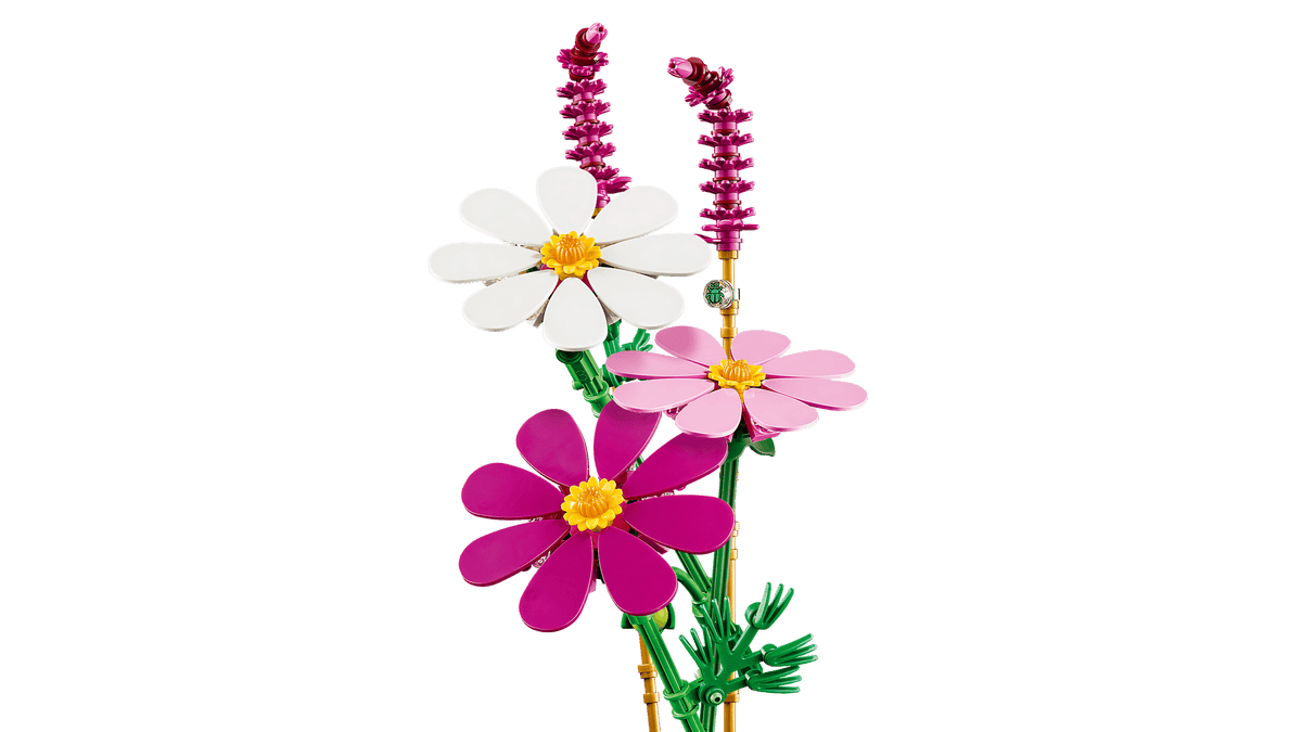 BOTANICALS - Cosmos Flowers