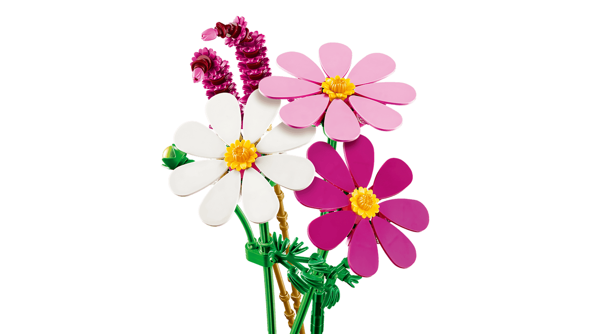 BOTANICALS - Cosmos Flowers