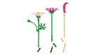 BOTANICALS - Cosmos Flowers