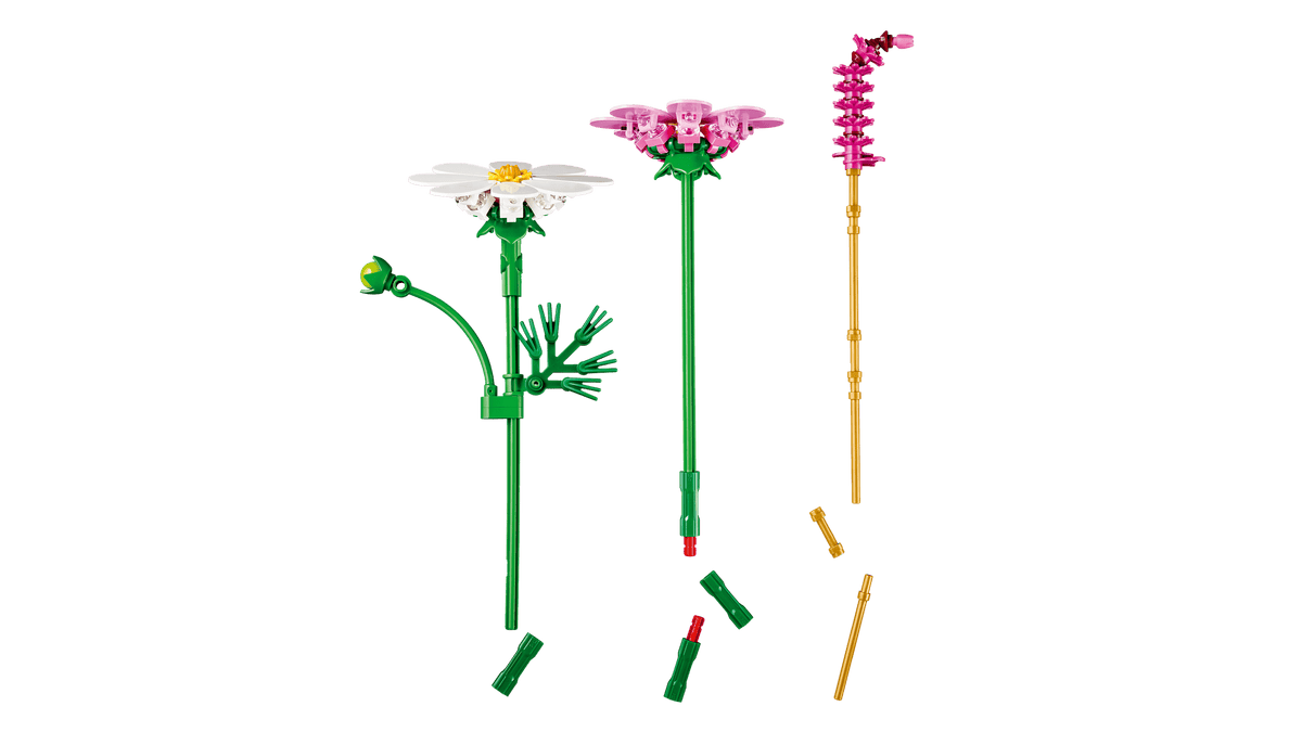 BOTANICALS - Cosmos Flowers