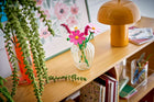 BOTANICALS - Cosmos Flowers