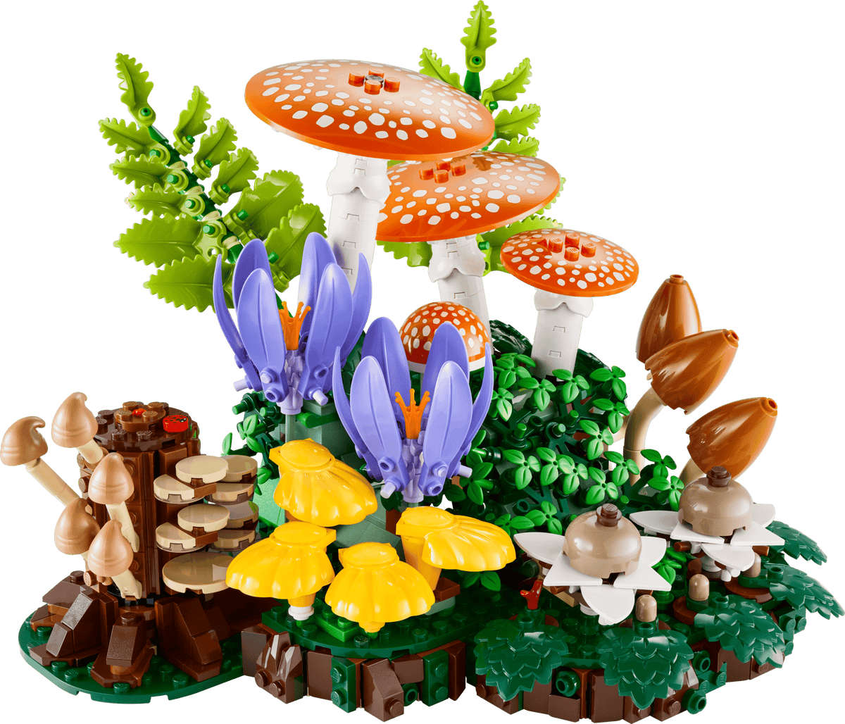 BOTANICALS - Woodland Mushrooms