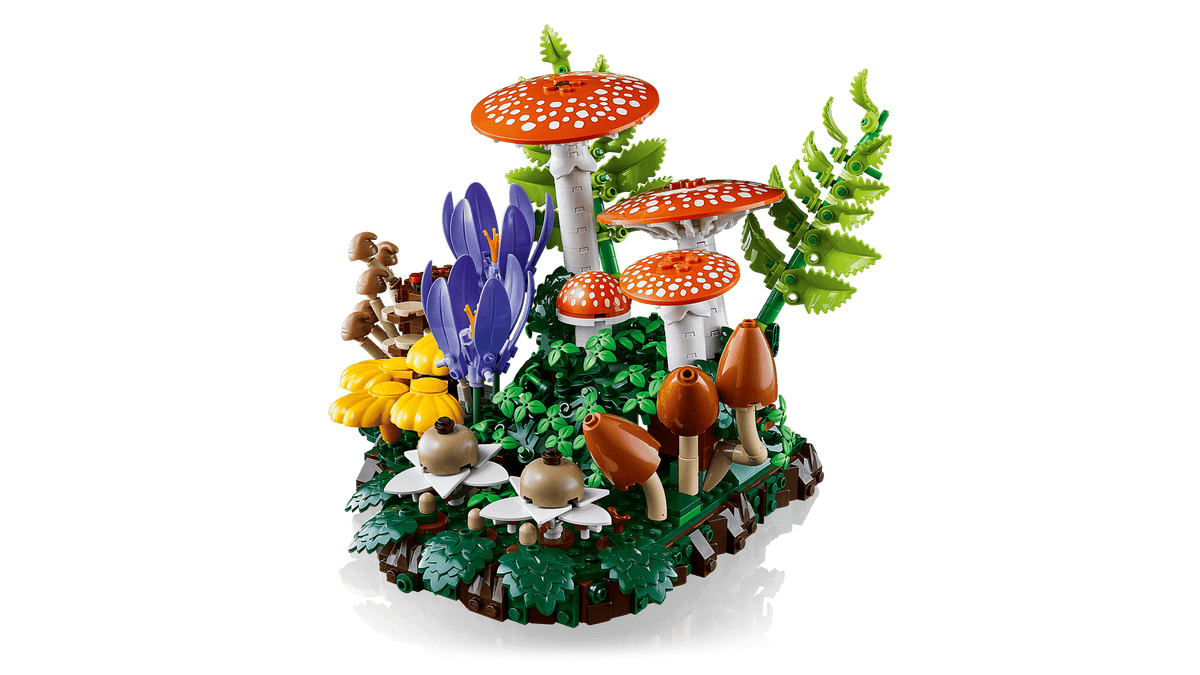 BOTANICALS - Woodland Mushrooms