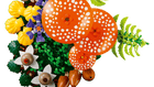 BOTANICALS - Woodland Mushrooms
