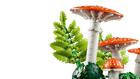BOTANICALS - Woodland Mushrooms