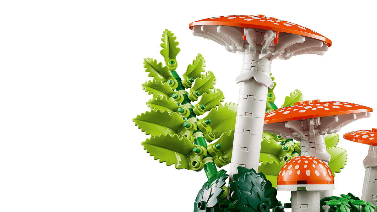 BOTANICALS - Woodland Mushrooms