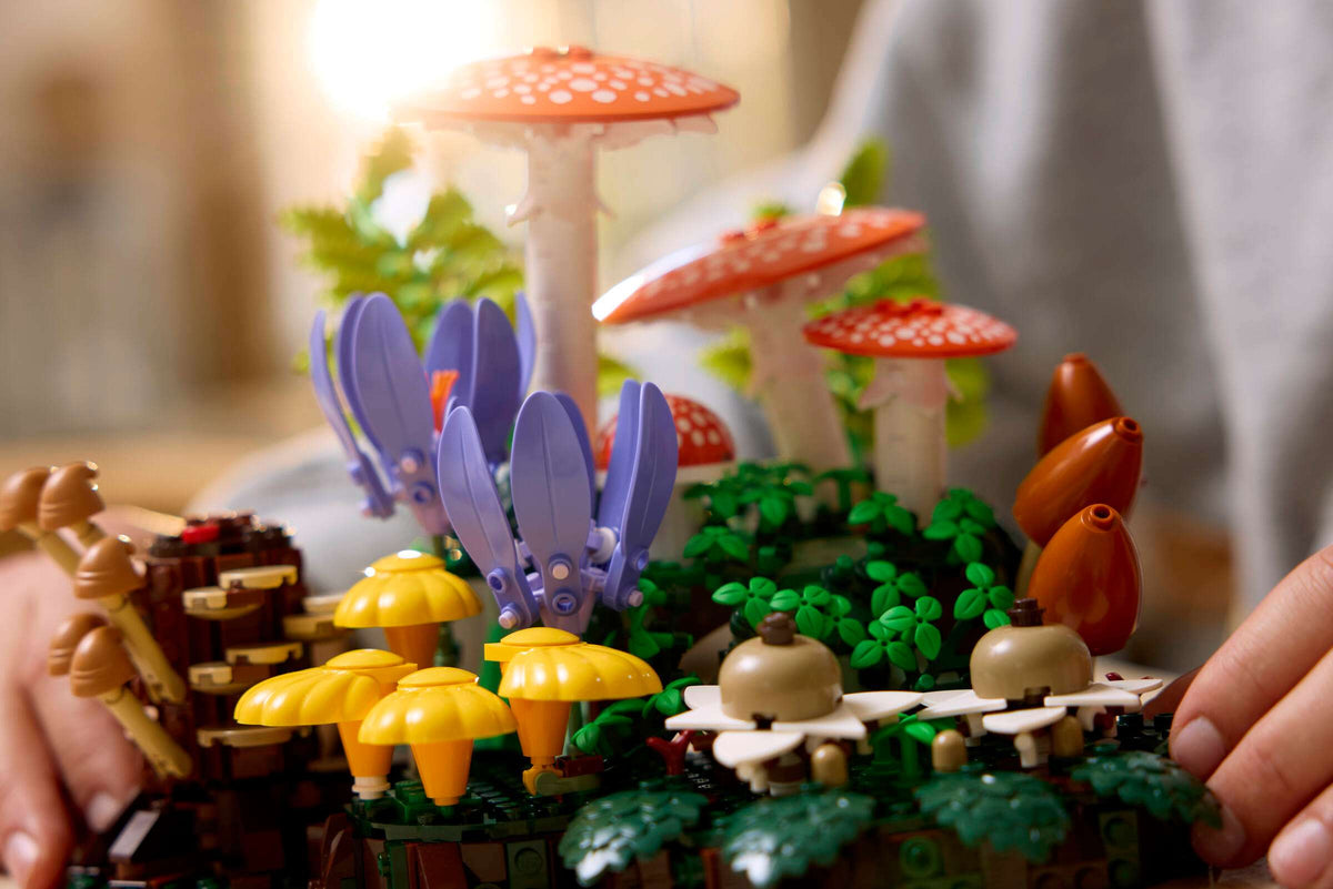 BOTANICALS - Woodland Mushrooms
