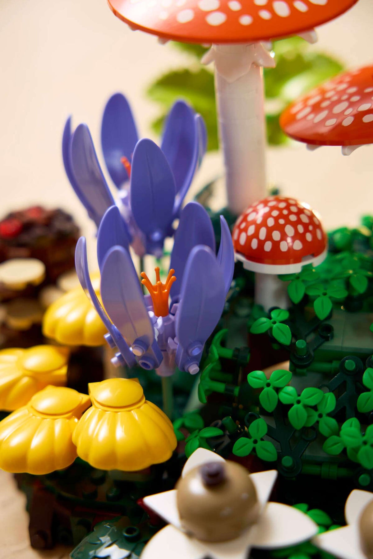 BOTANICALS - Woodland Mushrooms