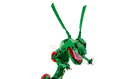 POKEMON - Rayquaza