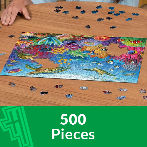 500 Pcs