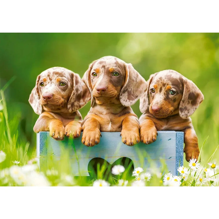 500pc Cute Daschunds Puzzle