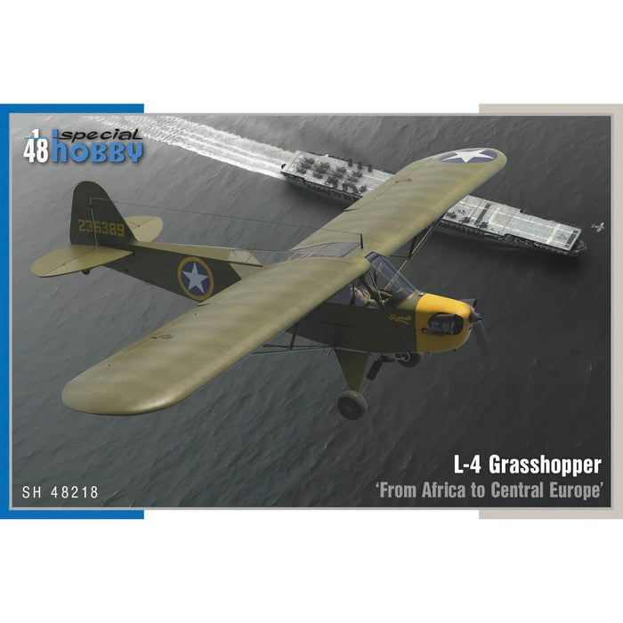 1/48 Piper L-4 Grasshopper (from Africa to Central Europe)
