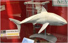 1/18 Great White Shark with Cage and Diver