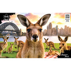 1000pc Kangaroo Park AR Edition Puzzle