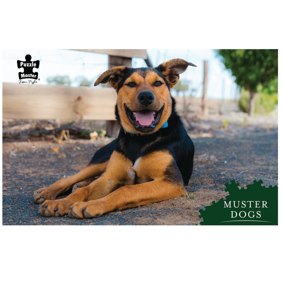 1000pc Muster Dogs Kelpie Puzzle