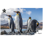 1000pc Penguins Puzzle
