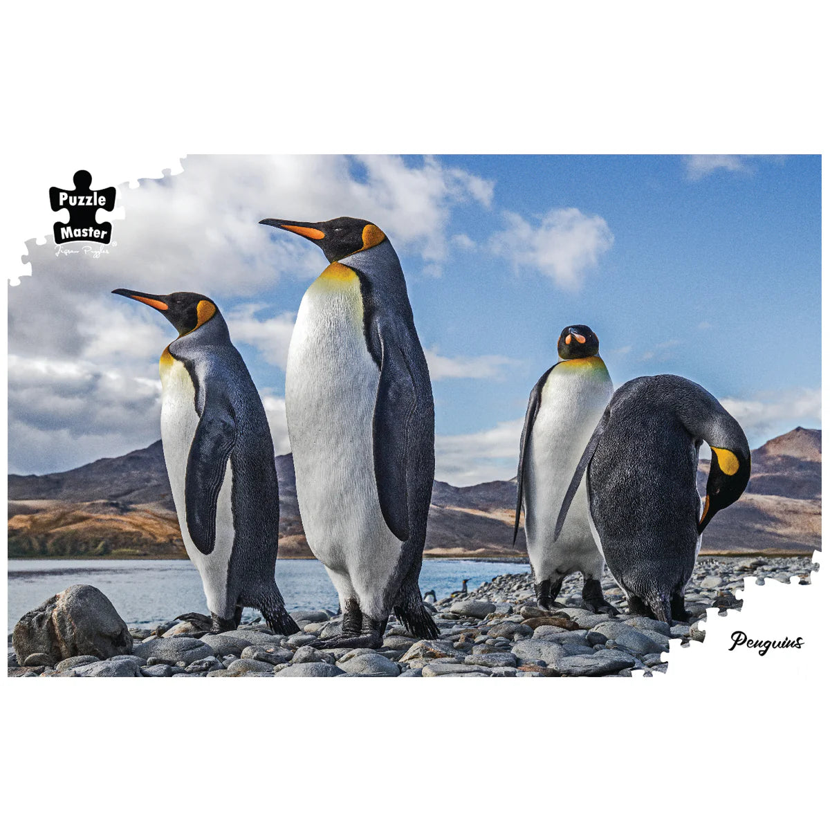 1000pc Penguins Puzzle