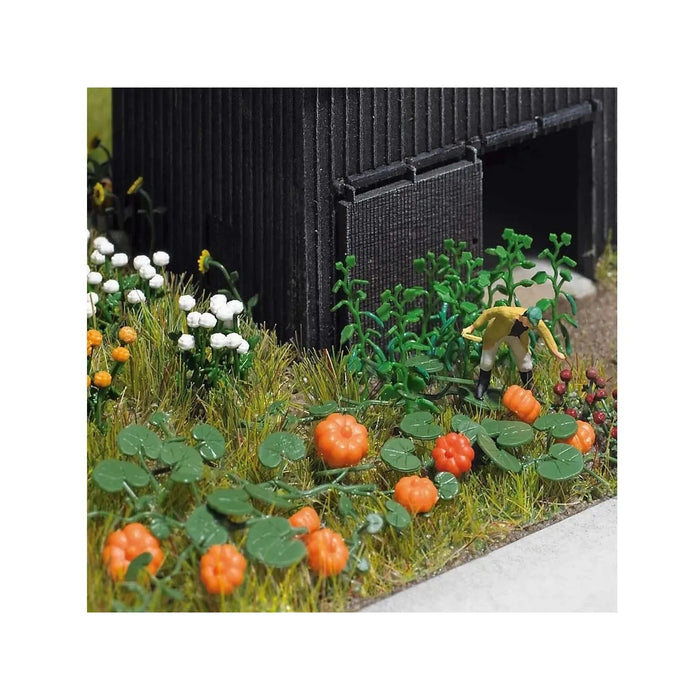 N Pumpkin Cucumber & Lettuce Set