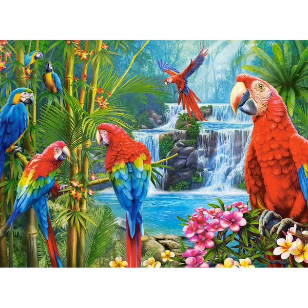 image1_2000pc Parrot Meeting Puzzle