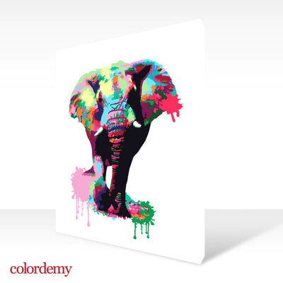 Premium Paint by Numbers Kit - Elephant Abstract Style Splash Art