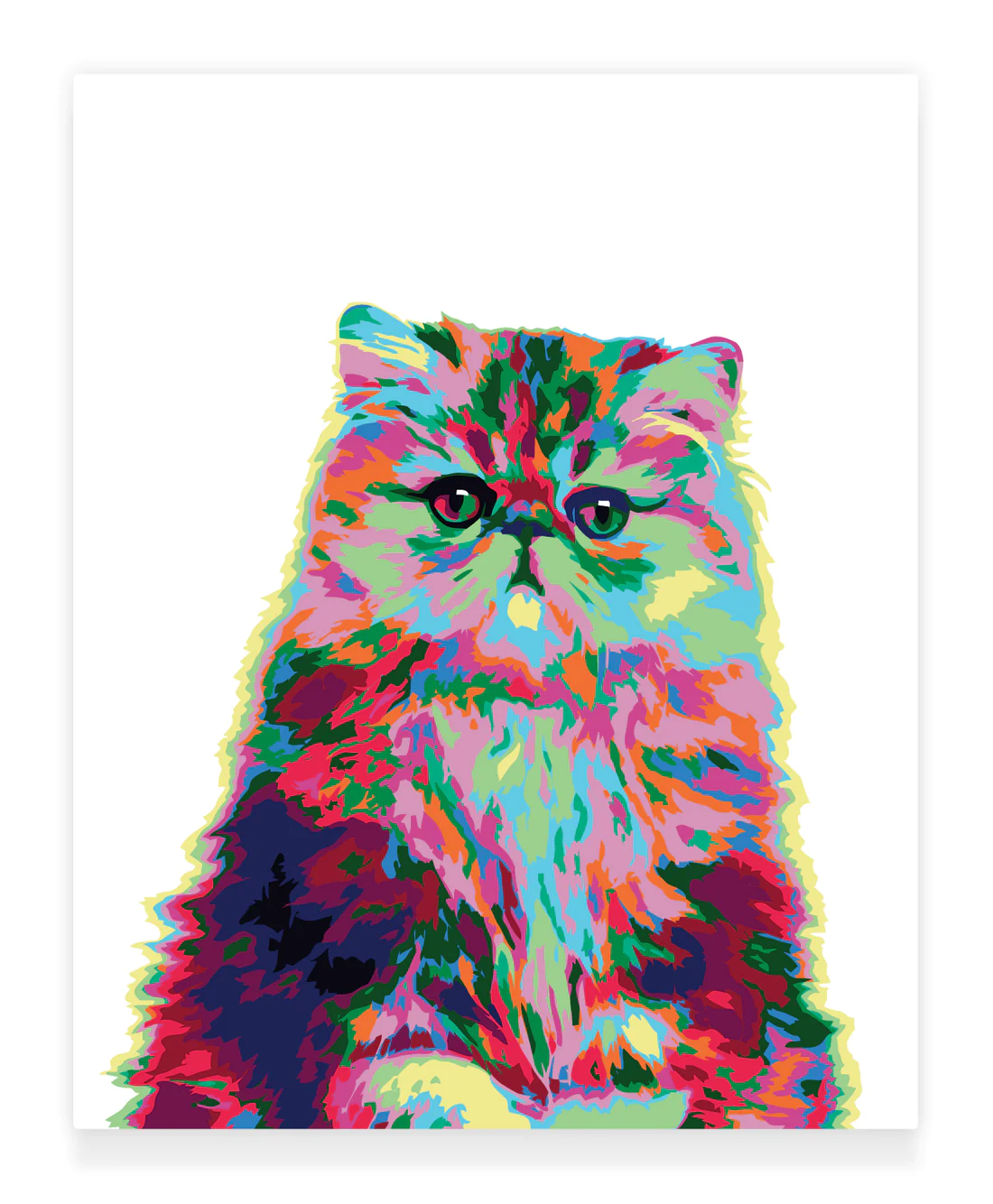 Paint by Numbers Kit: Abstract Persian Cat_1
