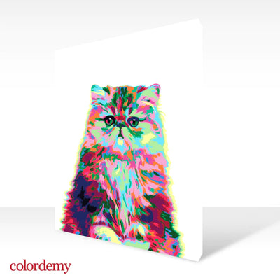 Paint by Numbers Kit: Abstract Persian Cat_2