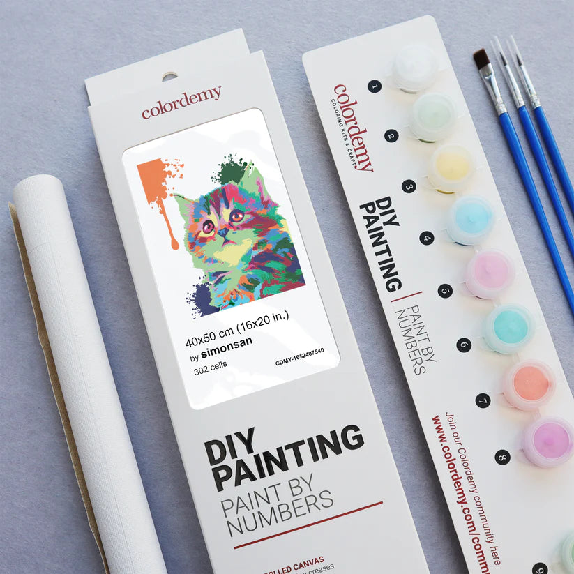Premium Paint by Numbers Kit - Cute Cat