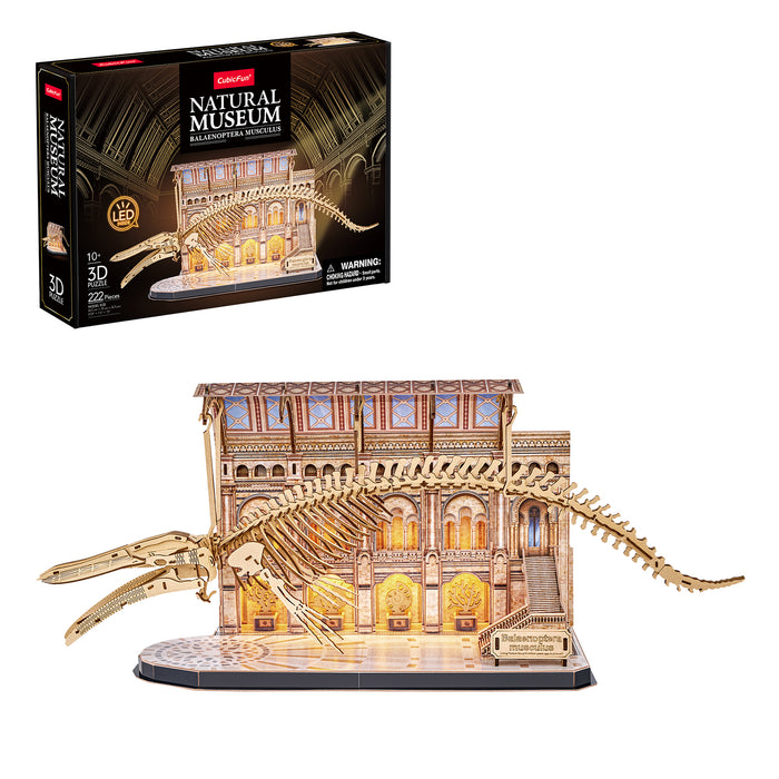 Natural Museum Blue Whale 3D Puzzle