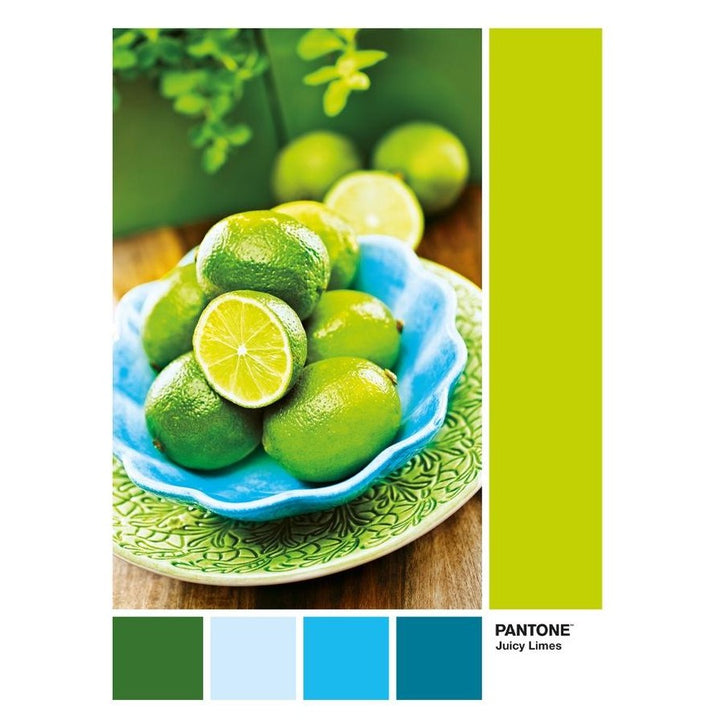 image2_1000pc Pantone Juicy Limes Puzzle