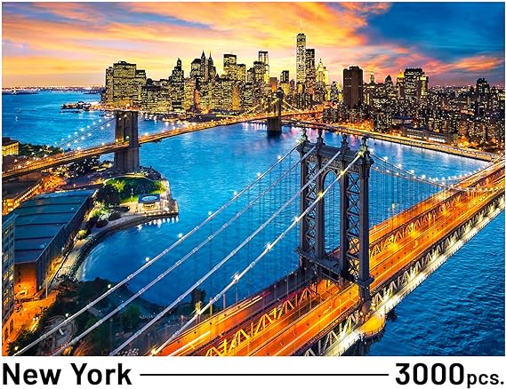 3000pc New York Puzzle