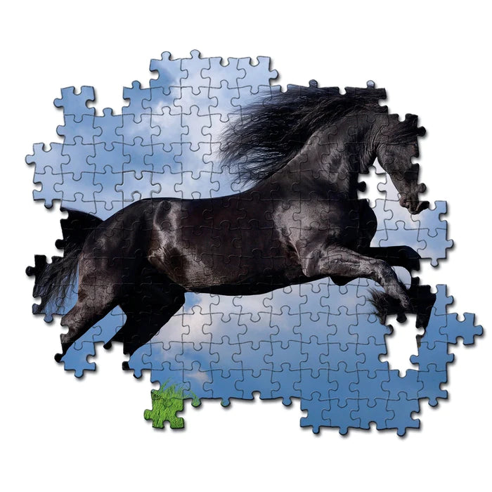 500pc Fresian Black Horse