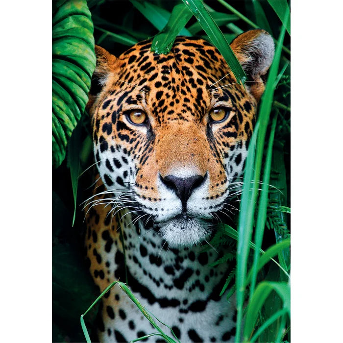 500pc Jaguar In The Jungle Puzzle
