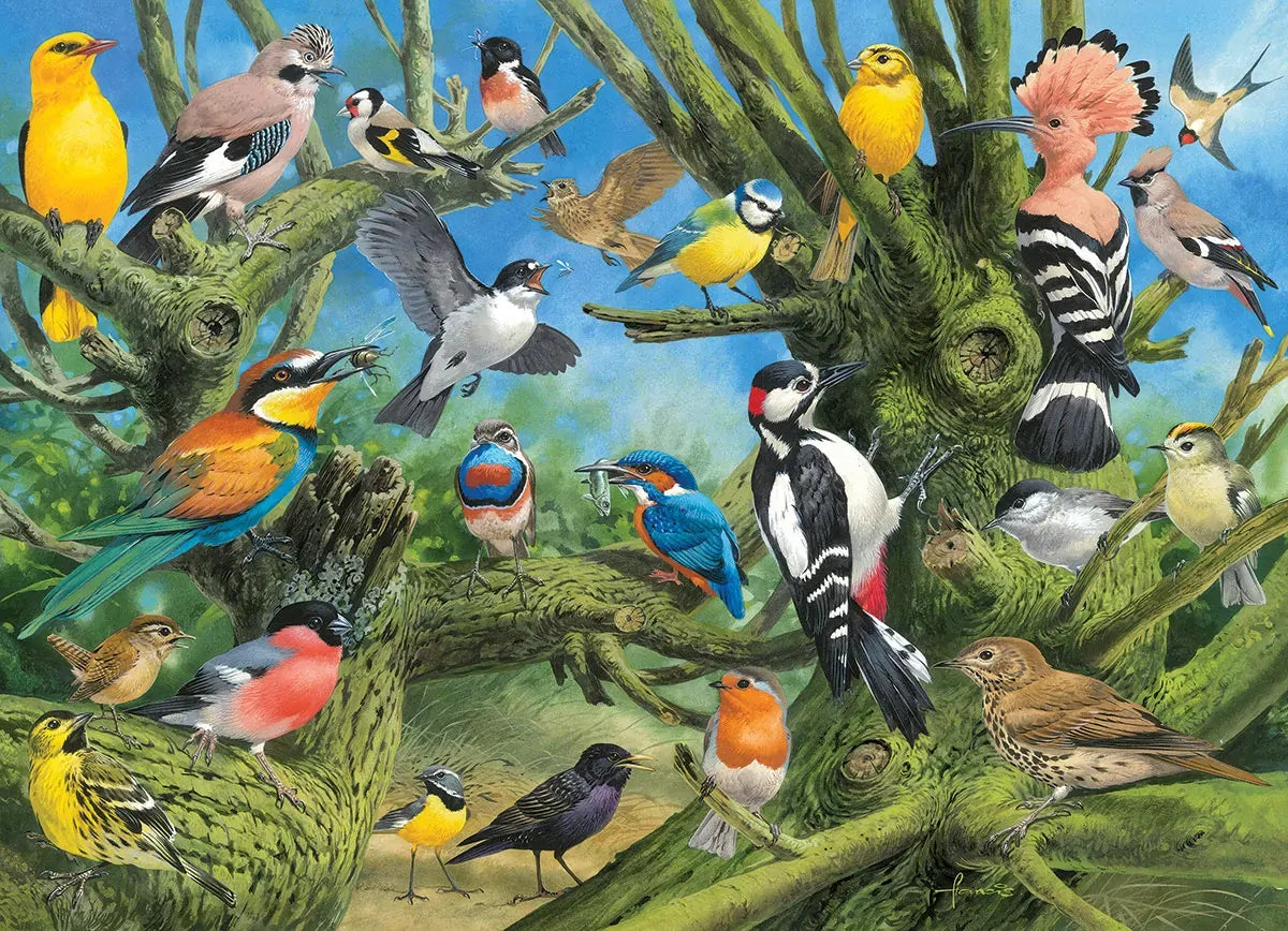 1000pc Garden Birds Jardin Puzzle