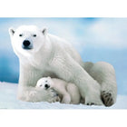1000pc Polar Bear & Cubs Puzzle