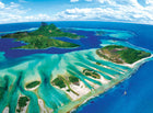 1000pc Coral Reef Puzzle