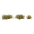 image1_Tufts of Grass Dry Grass (2606)